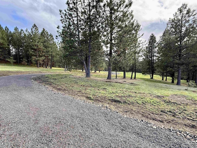 2471 Old White Bird Hill Rd, Grangeville, ID 83530