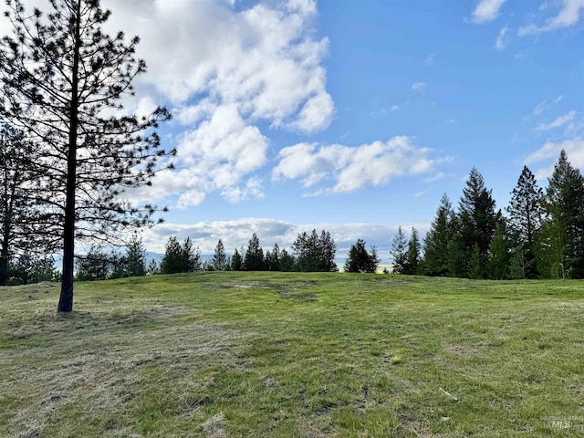 2471 Old White Bird Hill Rd, Grangeville, ID 83530