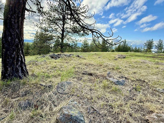 2471 Old White Bird Hill Rd, Grangeville, ID 83530