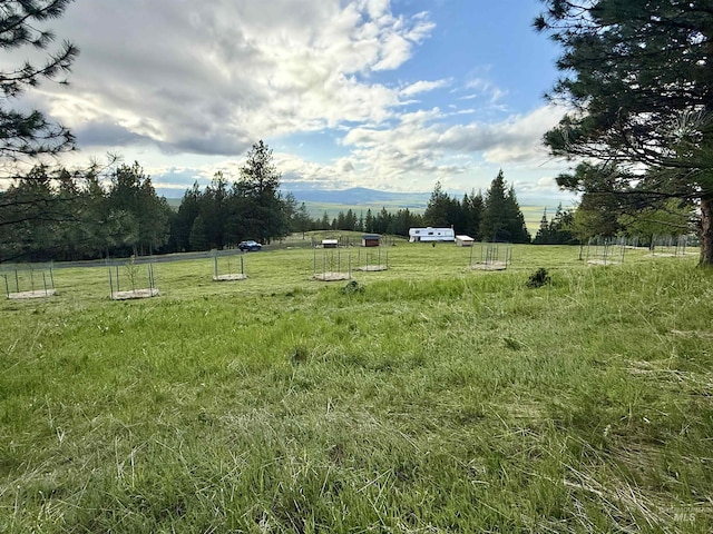 2471 Old White Bird Hill Rd, Grangeville, ID 83530
