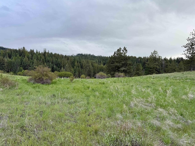 2471 Old White Bird Hill Rd, Grangeville, ID 83530