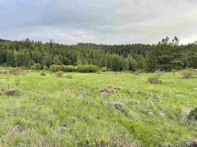 2471 Old White Bird Hill Rd, Grangeville, ID 83530