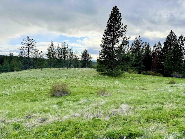 2471 Old White Bird Hill Rd, Grangeville, ID 83530