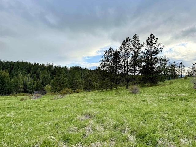 2471 Old White Bird Hill Rd, Grangeville, ID 83530