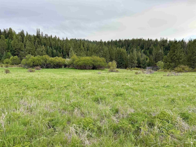 2471 Old White Bird Hill Rd, Grangeville, ID 83530