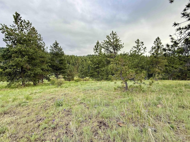 2471 Old White Bird Hill Rd, Grangeville, ID 83530