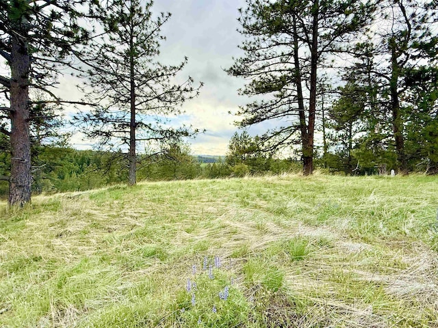 2471 Old White Bird Hill Rd, Grangeville, ID 83530