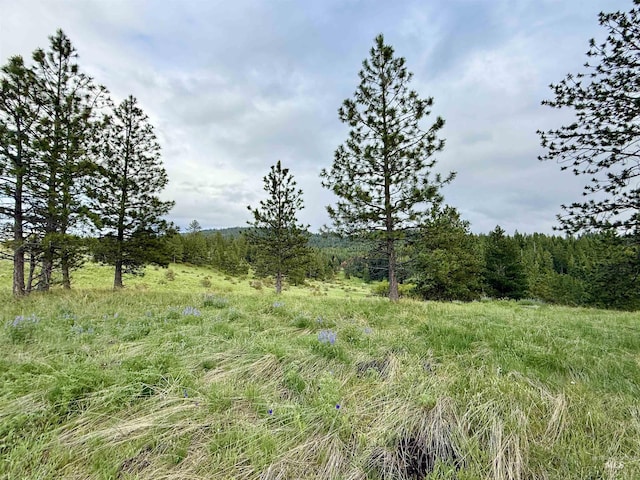 2471 Old White Bird Hill Rd, Grangeville, ID 83530