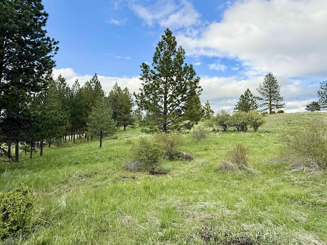 2471 Old White Bird Hill Rd, Grangeville, ID 83530