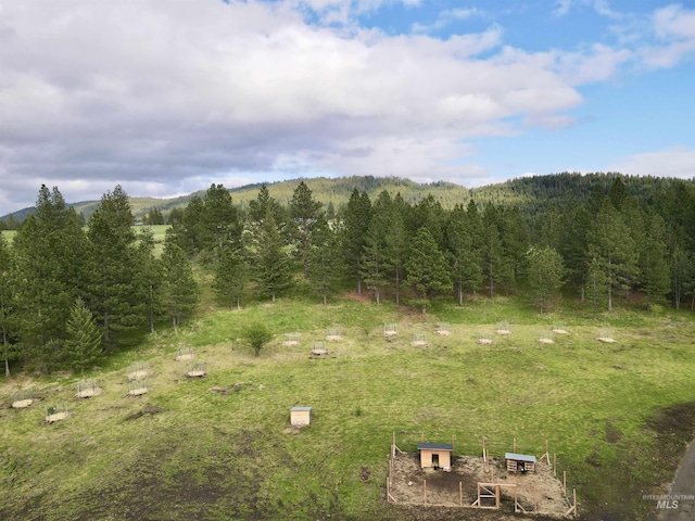 2471 Old White Bird Hill Rd, Grangeville, ID 83530