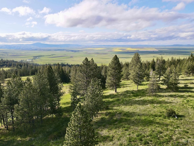 2471 Old White Bird Hill Rd, Grangeville, ID 83530