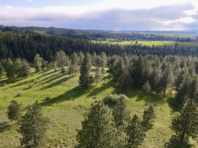 2471 Old White Bird Hill Rd, Grangeville, ID 83530