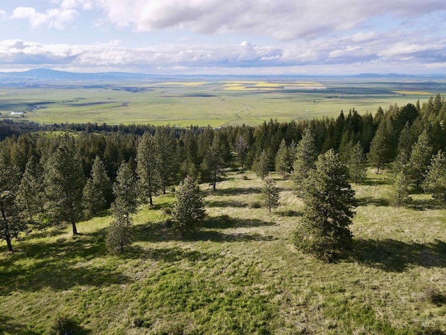 2471 Old White Bird Hill Rd, Grangeville, ID 83530