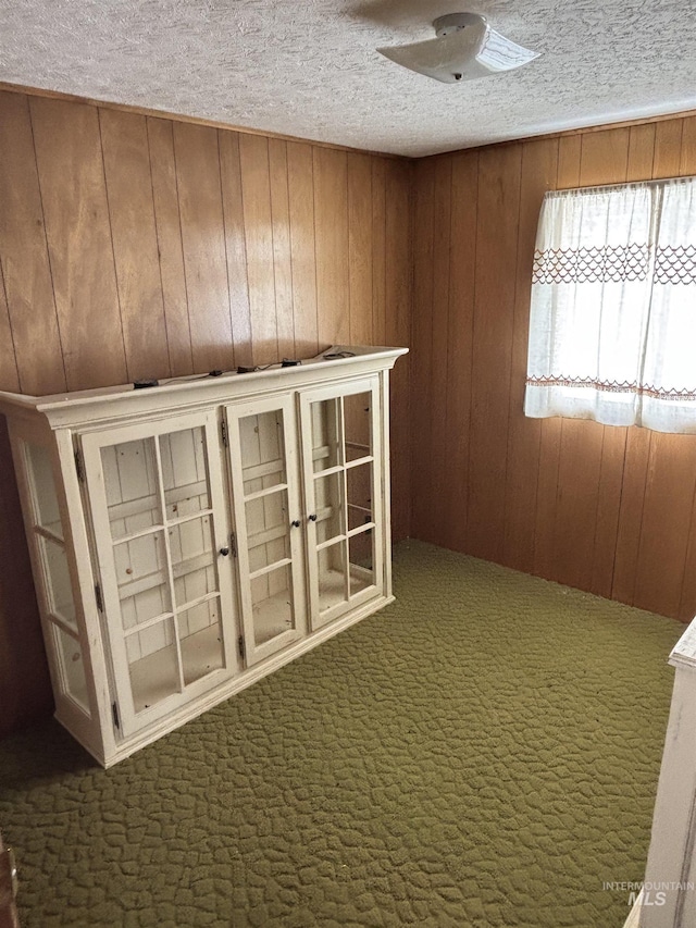 interior space featuring wood walls, carpet floors, and a textured ceiling