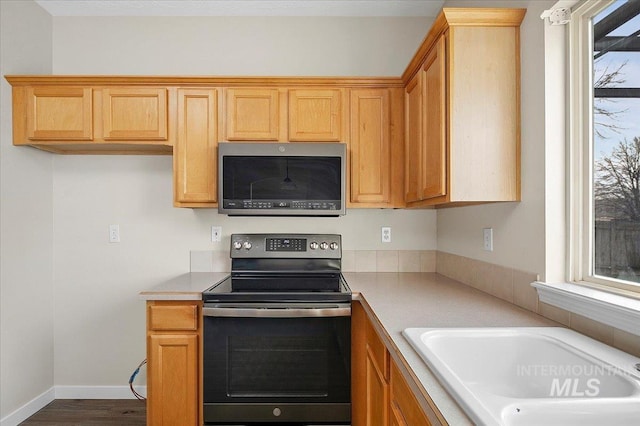 kitchen featuring sink, dark hardwood / wood-style floors, and appliances with stainless steel finishes