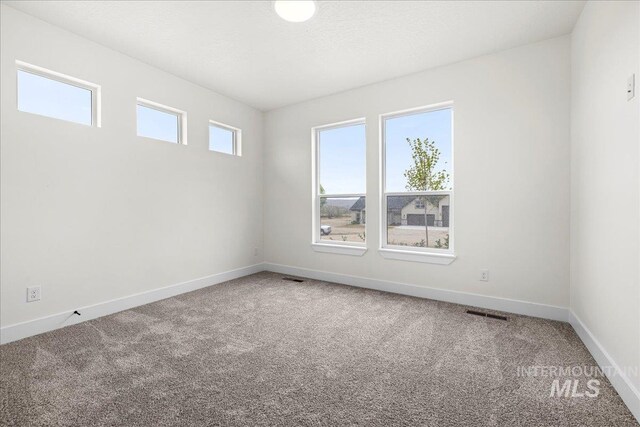 spare room featuring carpet floors