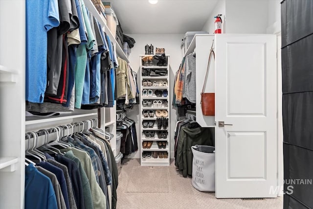 view of spacious closet