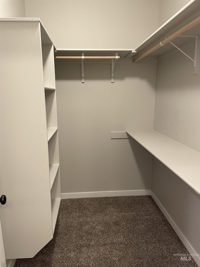spacious closet with carpet floors