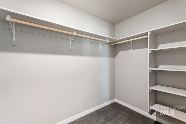 walk in closet featuring dark colored carpet