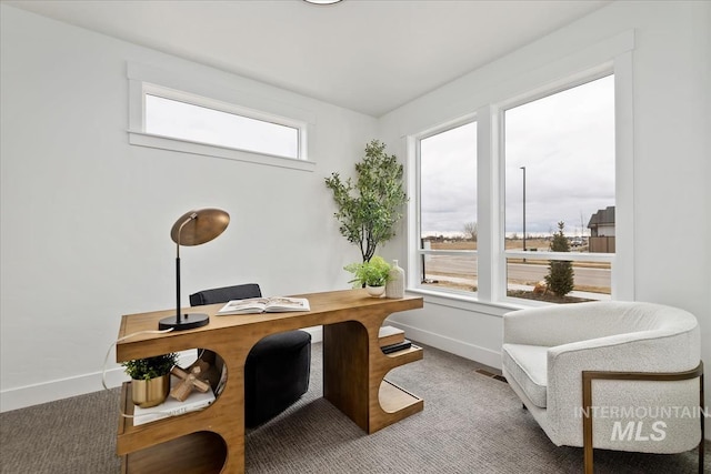 4628 N Camp Creek Ave, Meridian, ID 83646 - home office with carpet and baseboards