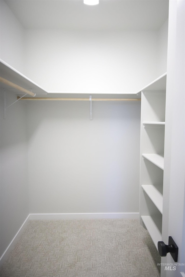 spacious closet with carpet flooring