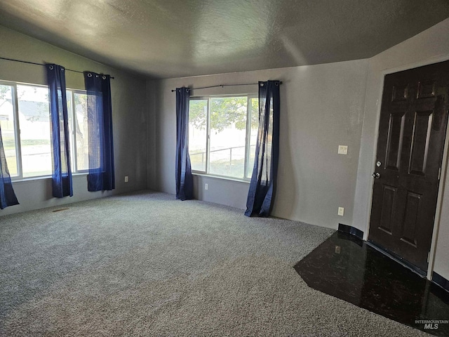 entryway featuring carpet flooring, vaulted ceiling, and a textured ceiling