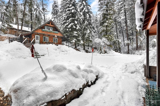 view of yard covered in snow