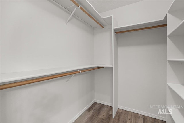 walk in closet with wood finished floors