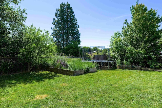 view of yard with a vegetable garden, a trampoline, and fence