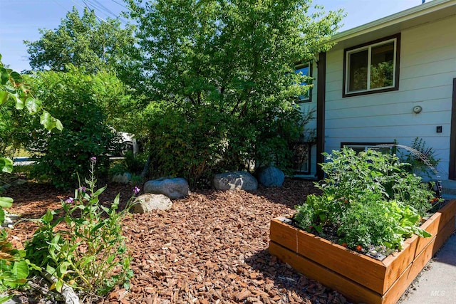 view of yard with a vegetable garden