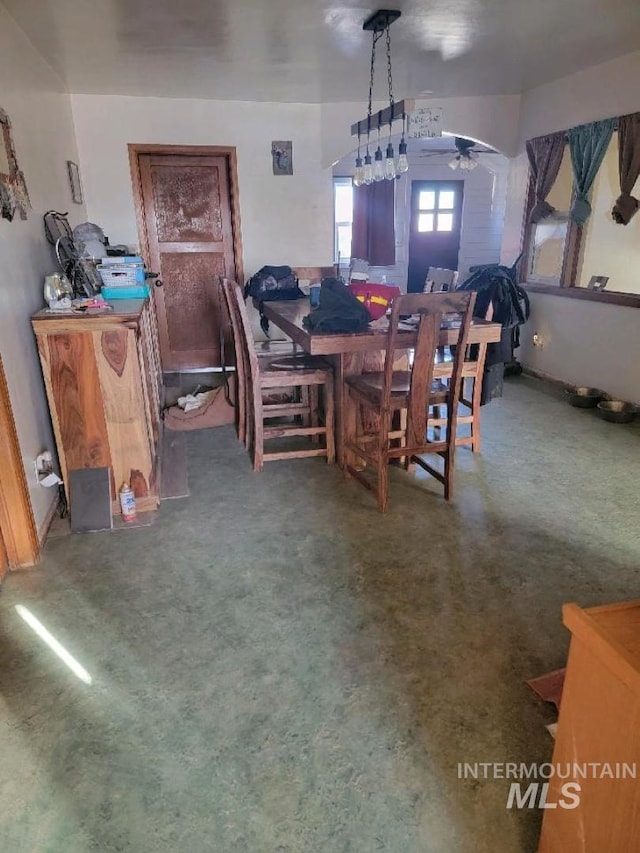 dining room featuring carpet