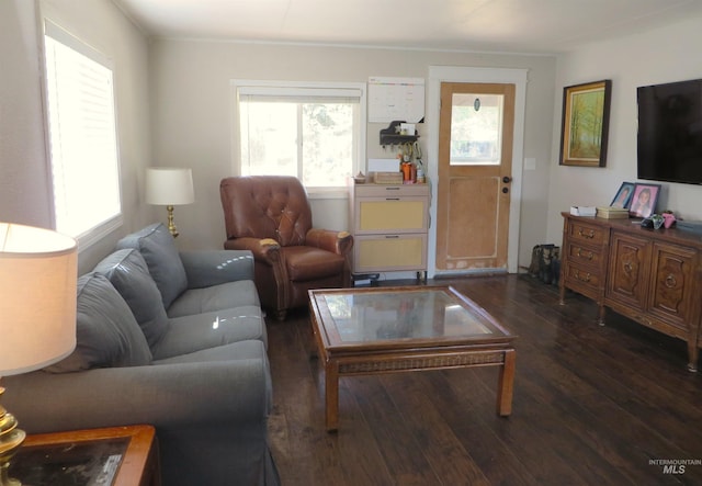 937 Indianhead Rd, Weiser, ID 83672 - living room featuring wood-type flooring