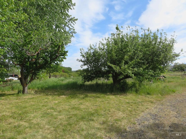 937 Indianhead Rd, Weiser, ID 83672 - view of undeveloped land