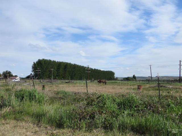 937 Indianhead Rd, Weiser, ID 83672 - view of local wilderness with rural landscape