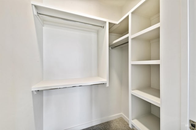 4340 E Haystack St Unit 210, Boise, ID 83716 - view of spacious closet