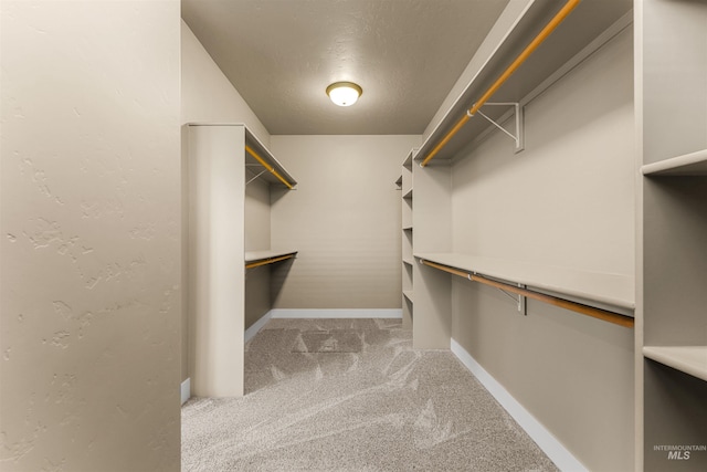 spacious closet featuring light carpet