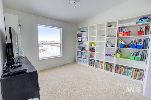 interior space featuring lofted ceiling and carpet flooring