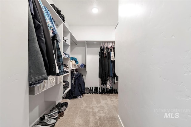 walk in closet featuring carpet