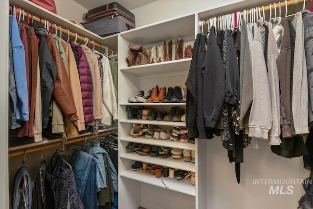 view of spacious closet