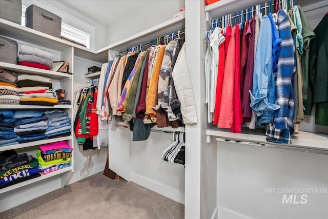 walk in closet with light carpet