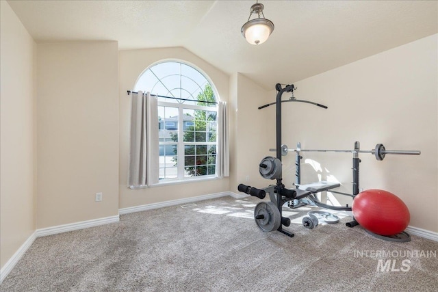 6229 S Snowdrop Way, Boise, ID 83716 - exercise area with carpet flooring, vaulted ceiling, and baseboards