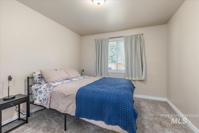 6229 S Snowdrop Way, Boise, ID 83716 - carpeted bedroom featuring baseboards
