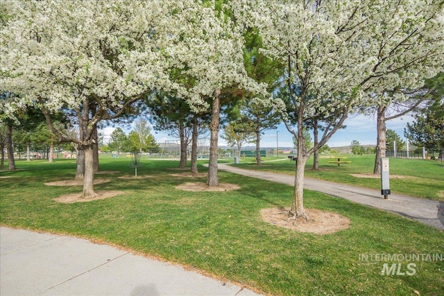 6229 S Snowdrop Way, Boise, ID 83716 - view of home's community featuring a yard