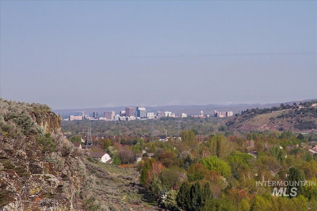 6229 S Snowdrop Way, Boise, ID 83716 - city view