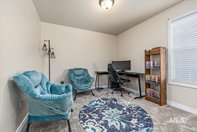 6229 S Snowdrop Way, Boise, ID 83716 - carpeted office space with baseboards and plenty of natural light