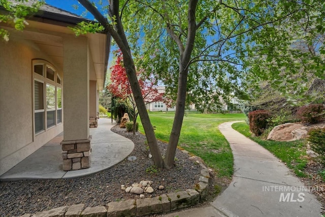 view of yard with a patio area