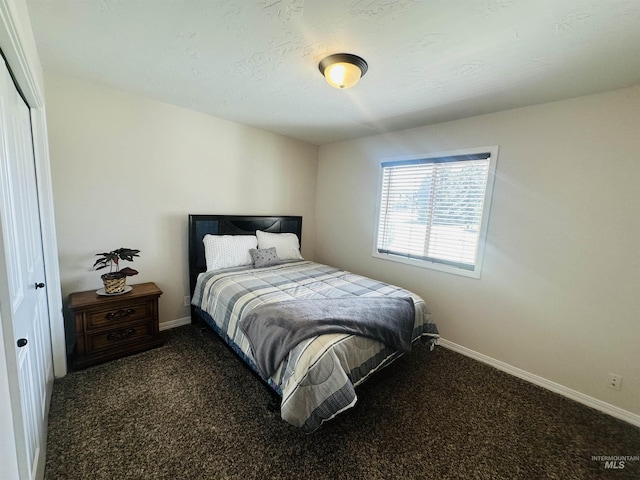382 N 1020 E, Declo, ID 83323 - bedroom with carpet floors, baseboards, and a closet