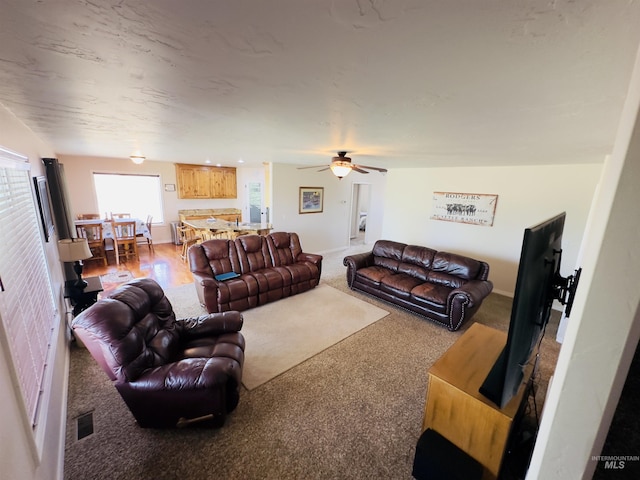 382 N 1020 E, Declo, ID 83323 - living area featuring carpet flooring, visible vents, and ceiling fan