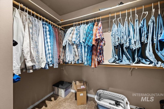 3856 Wood Way, New Plymouth, ID 83655 - walk in closet with carpet