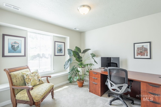3772 S Walnut Ridge Way, Nampa, ID 83686 - home office with light colored carpet and a textured ceiling